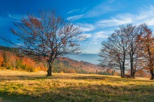 The mountain autumn landscape in Beskidy © Tata2anka - Fotolia