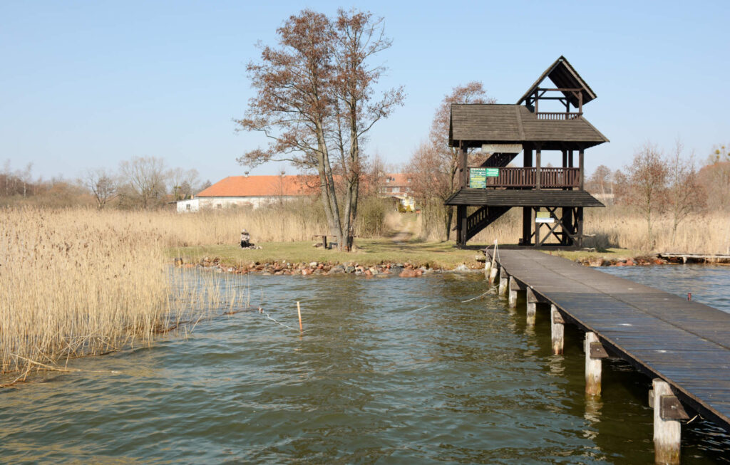 Zu sehen ist der Lucknainer See bei Lucknainen, Bild: Roman-Eugeniusz