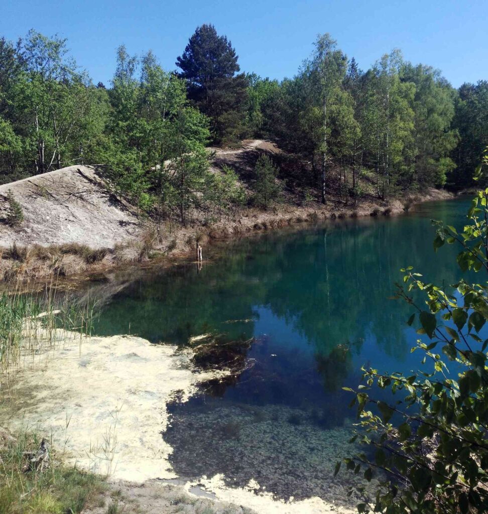 Zu sehen ist ein See im Muskauer Landschaftsschutzpark, Bild: August Kazimierz